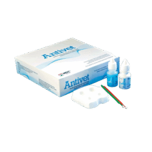 Antivet Kit Dental Enamel Cleaning Kit